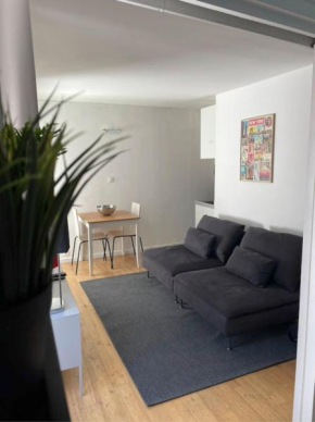 Nice and comfortable 23m near the Old Port